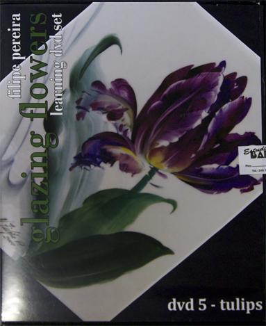 DVD 5 - Tulipes