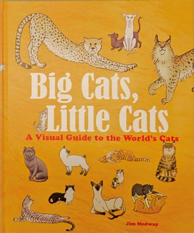 Big Cats, Little Cats a Visual Guideto the World's Cats